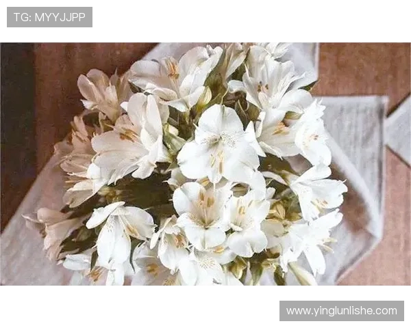 台球运动的魅力与技巧解析：从基础规则到高级策略的全面探讨