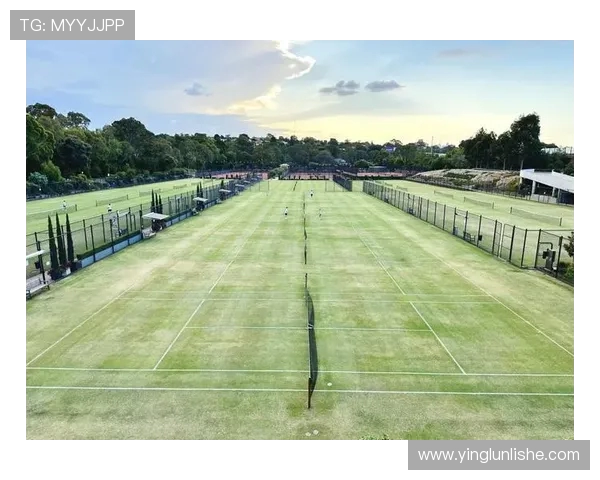 网球运动的魅力与发展：从草地到硬地的历史演变与未来趋势