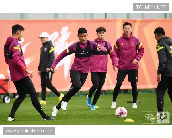 成都极限运动队团队协作模式深度解析与对比研究